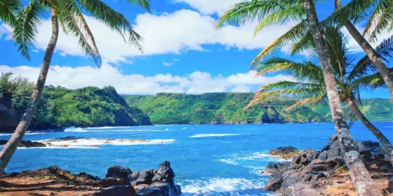 Hawai Hawai