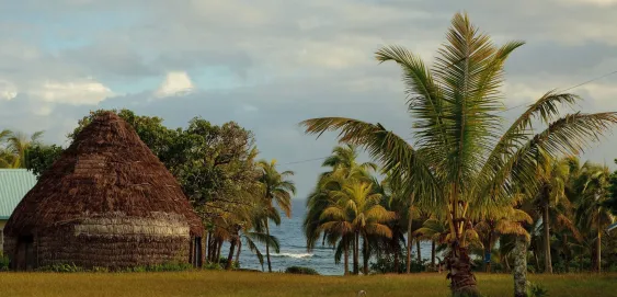 Case Lifou