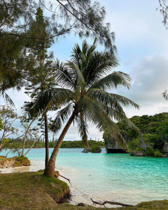 Wild and sweet 🥰

Aussi sauvage que d...
