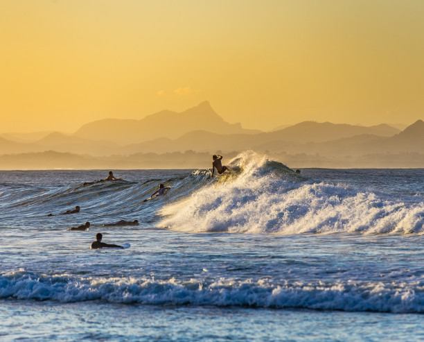 Surf Surf