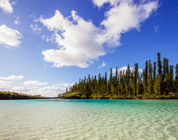 Piscine naturelle Piscine naturelle