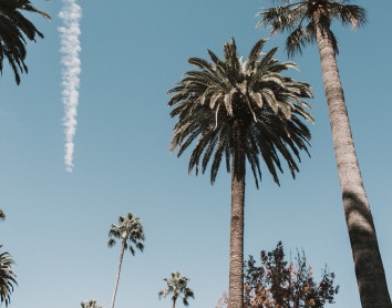 LA LA