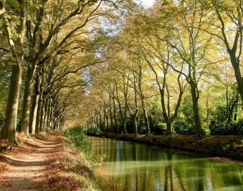 Canal Dumidi Toulouse Nature Fleuve