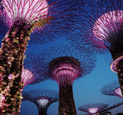 Singapore night garden by the bay